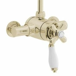 Heritage Bathrooms Heritage - Ryde Dual Control Exposed Mini Valve With Top Outlet - Vintage Gold