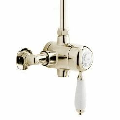 Heritage Bathrooms Heritage - Ryde Single Control Exposed Mini Valve With Top Outlet - Vintage Gold