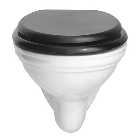 Heritage Bathrooms Heritage Dorchester Wall Hung WC Pan 1 Heritage Bathrooms Heritage Dorchester Wall Hung WC Pan